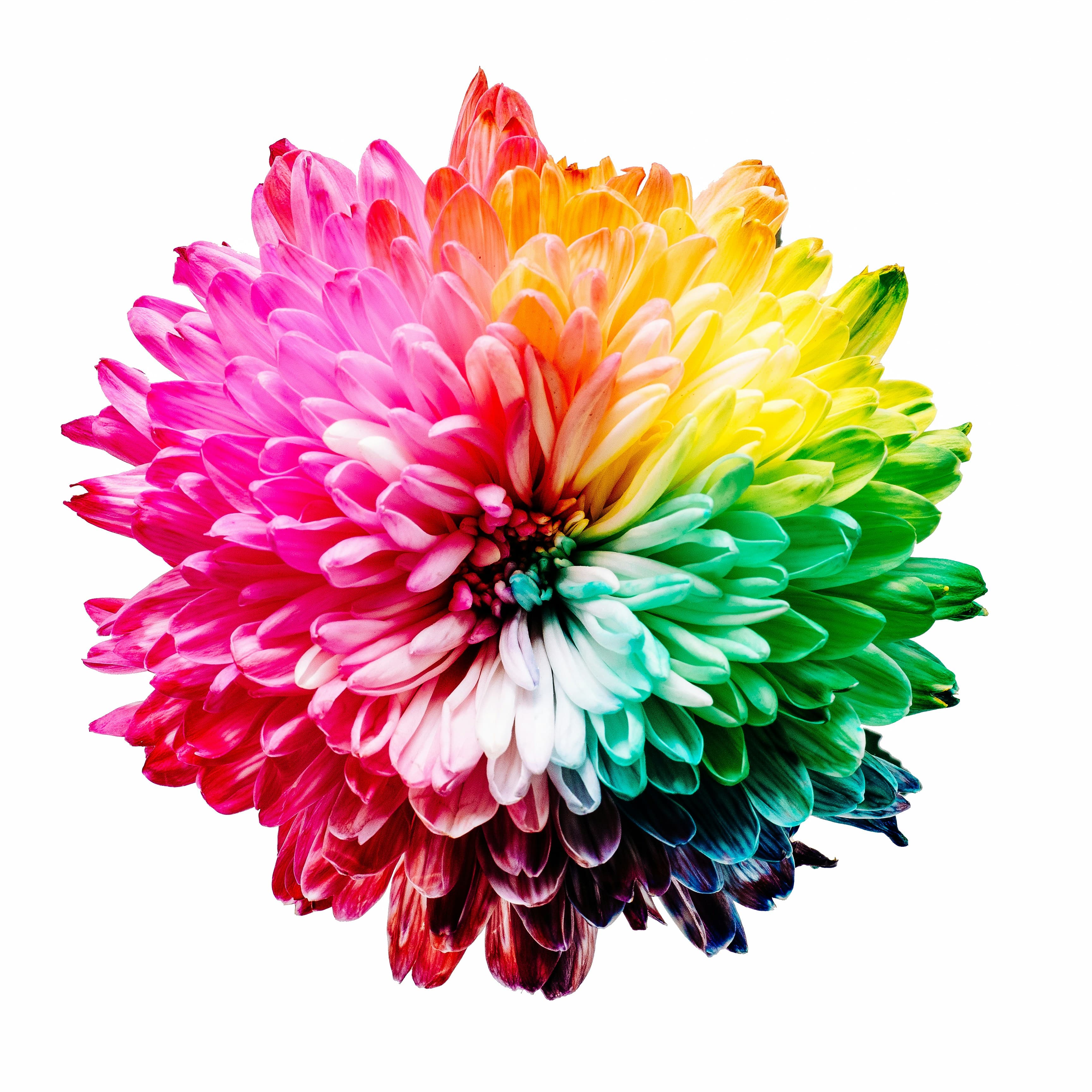 Cover image for Guide post: "Testing in Domain-Driven Design: Key Strategies"