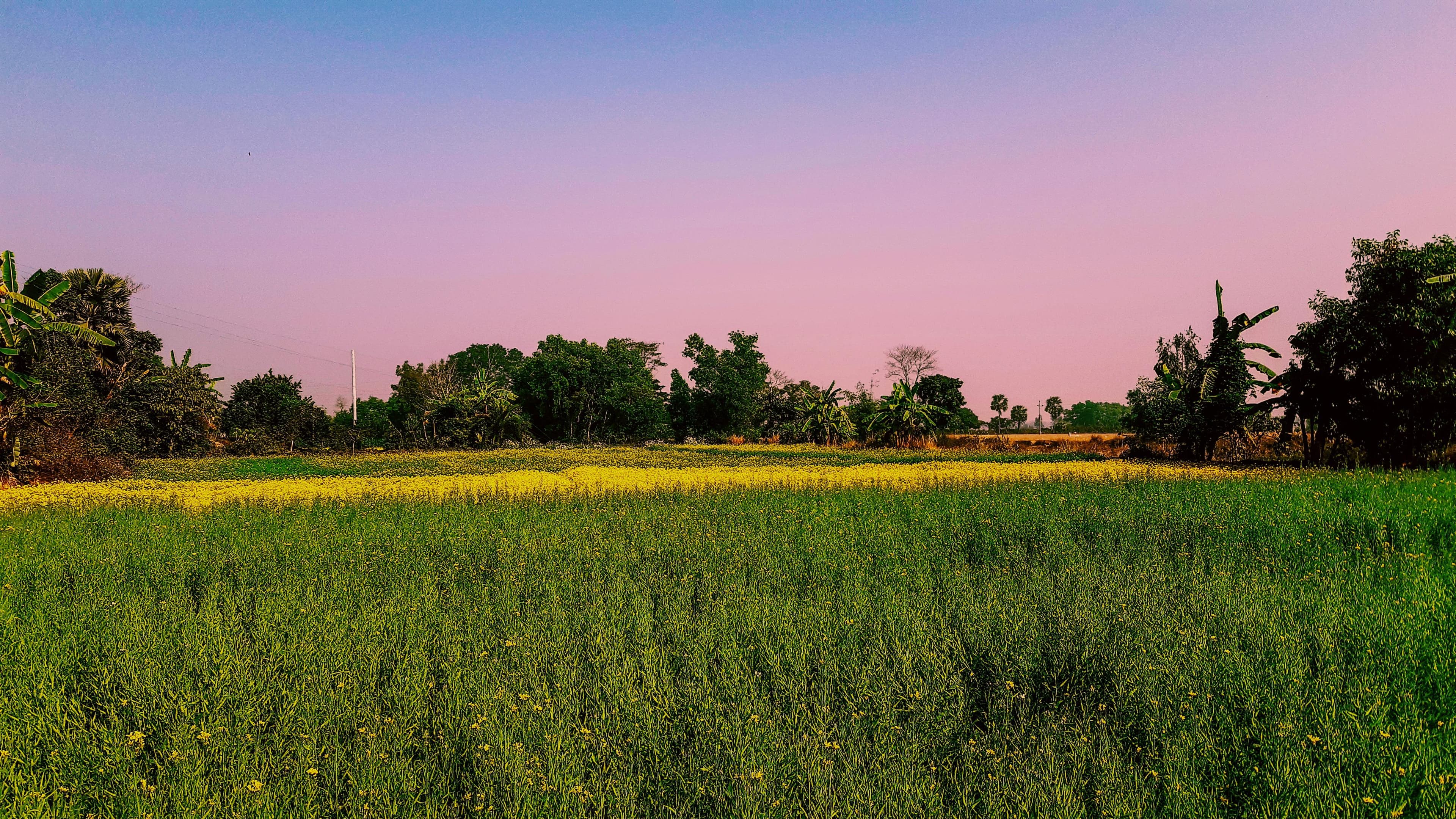 Sree chandra pur village